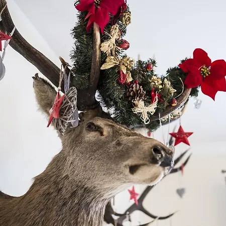 Bed & Breakfast Gronik