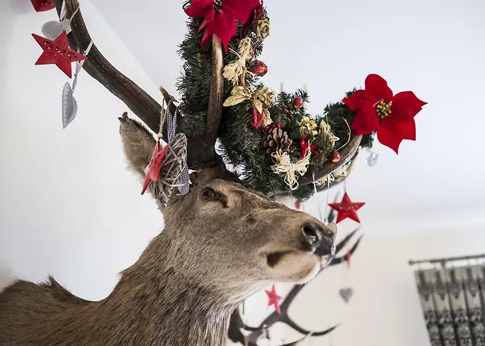 住宿加早餐酒店 Gronik